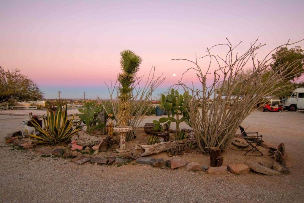 Joshua Tree Ranch House Motel - Downtown - Room #3 Exterior photo
